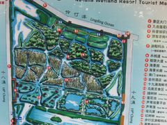 -大湾区中央湿地公园
