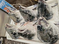 三文鱼-初色海鲜自助(万丰路店)