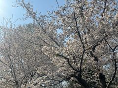 -堤角公园