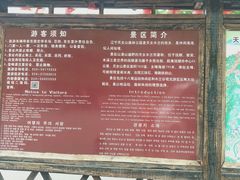 -天女山森林公园