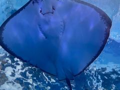 -泉城欧乐堡海洋极地世界