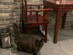 -一盃山水咖啡茶馆
