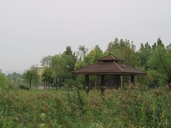 -水西公园