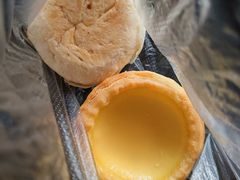 蛋挞-美嘉华面包西饼店(红胜坊店)
