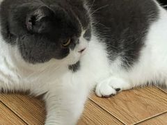 -立德动物医院·24小时中心(番禺区院区)