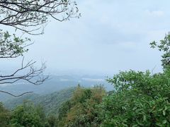 -紫金山山顶公园