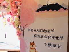 -柴源莊·柴小宠柴犬咖啡