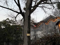 -惠山古镇·寄畅园