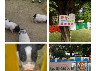 一个在潮州上学的学生，最喜欢的就是到处去逛啦