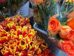 -循礼门鲜花花市(武汉循礼门店)