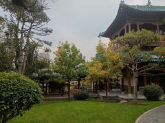 -迎泽公园