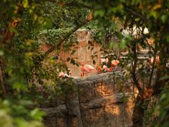 -清迈夜间动物园