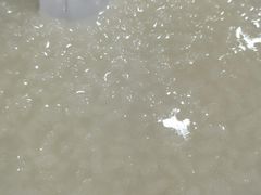 阴米子-何氏筠连水粉(明伦堂店)