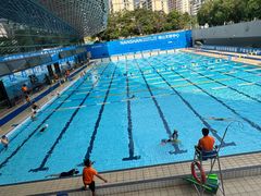 -南山文体中心-游泳馆