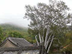 -潭柘寺景区