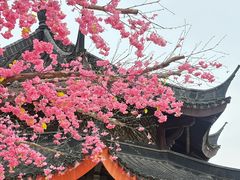 -广东圆玄道观