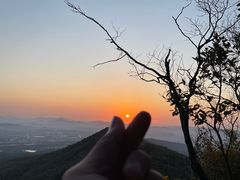 -紫金山山顶公园