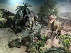 -国家自然博物馆