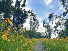 -青龙山国家森林公园