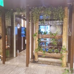 -青青一生美皮肤管理