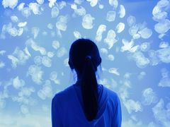 -多彩贵州城极地海洋世界