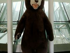 -济州岛泰迪熊博物馆