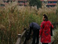 -成都市活水公园