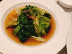 -圆苑(金茂店)