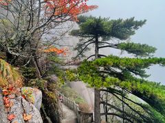 -黄山风景区