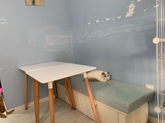 -喵的天空名猫咖啡馆·撸猫·猫舍·用品