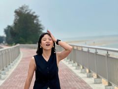 -临高角