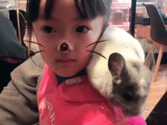 -藦茜花园宠物主题亲子互动体验馆(国顺东路店)