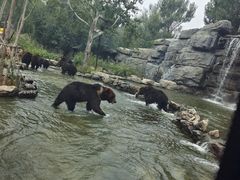 -北京野生动物园