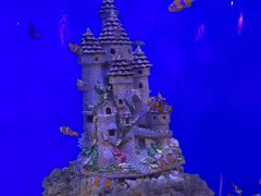 -海合安武汉极地海洋公园