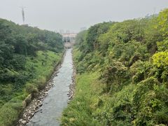 -羚羊峡古栈道森林公园