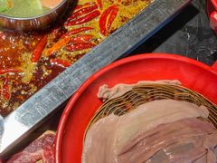 -二荆条·蜀鲜汇城市森林火锅