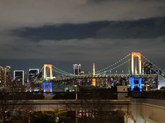 -台场海滨公园船码头