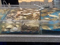 -半岛听涛蒸汽海鲜自助(K11店)