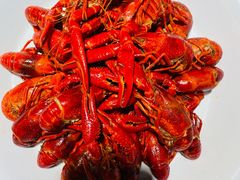 -虾皇(龙虾城旗舰店)