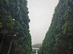 -井冈山革命烈士陵园