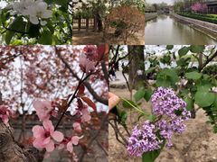 -新辣道鱼火锅(领展购物广场·中关村店)