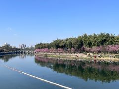 -望江楼公园