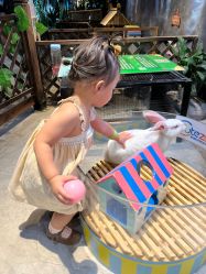 -酷嗒动物文化乐园(cutezoo西溪乐天城店)