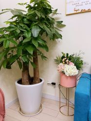 -简悦美塑·徒手点穴减肥