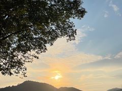 -径山花海