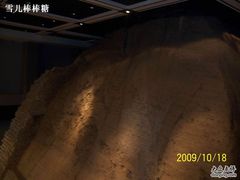 -西安唐皇城墙含光门遗址博物馆