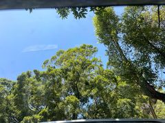 -南国桃园旅游度假区