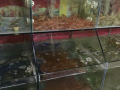 水产区-亚莲海鲜大排档
