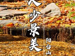 -阳台山自然风景区