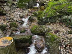 -牛背梁国家森林公园